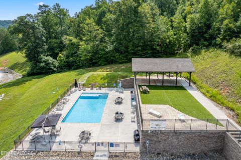 Tiny photo for 175 Lot Waterside Lane, LaFollette, TN 37766 (MLS # 1317524)