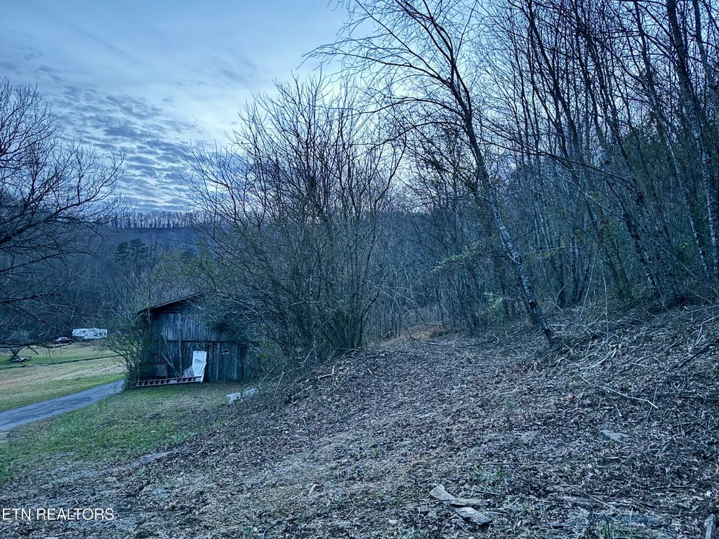 Photo of 1135 Ned Clark Rd, Bean Station, TN 37708 (MLS # 1324118)