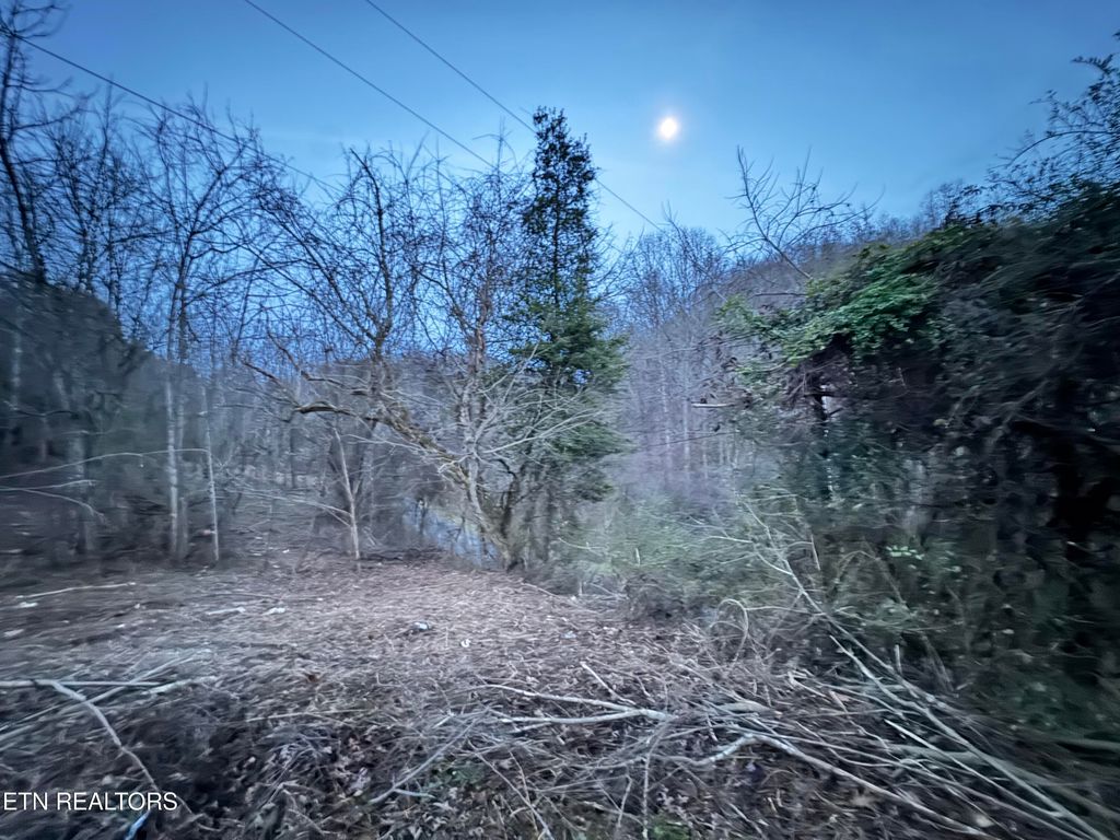 Photo of 1135 Ned Clark Rd, Bean Station, TN 37708 (MLS # 1324118)