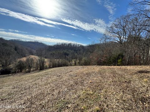 1135 Ned Clark Rd Bean Station TN 37708