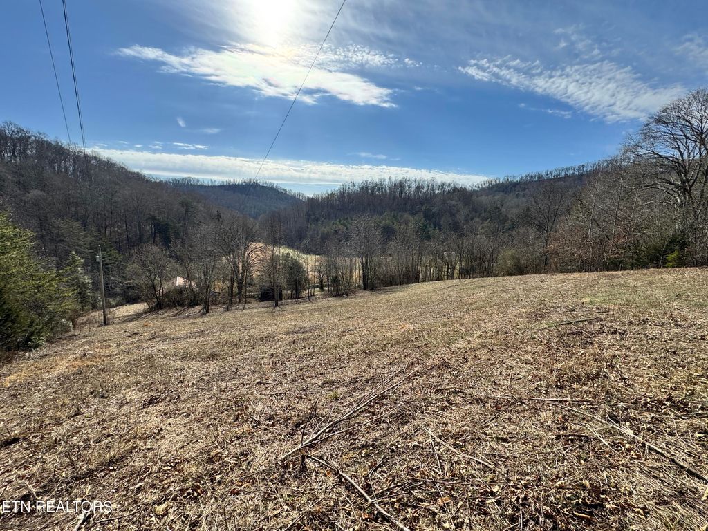 Photo of 1135 Ned Clark Rd, Bean Station, TN 37708 (MLS # 1324118)