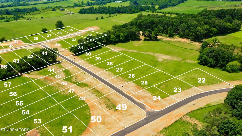 Photo of 255906 John Drive, Greenback, TN 37742 (MLS # 1239377)