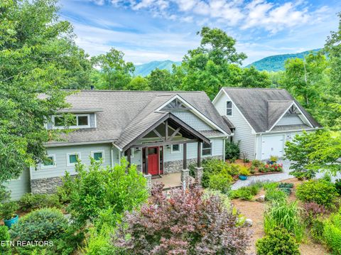 720 Hunters Run Rd Townsend TN 37882