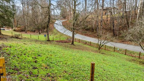 Tiny photo for 250 McDeerman Road Rd, Jacksboro, TN 37757 (MLS # 1323449)