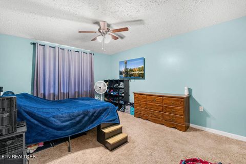 Tiny photo for 250 McDeerman Road Rd, Jacksboro, TN 37757 (MLS # 1323449)