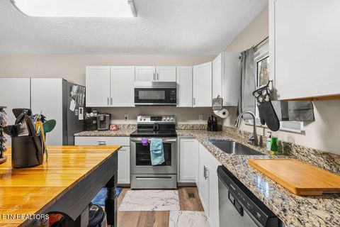 Tiny photo for 250 McDeerman Road Rd, Jacksboro, TN 37757 (MLS # 1323449)