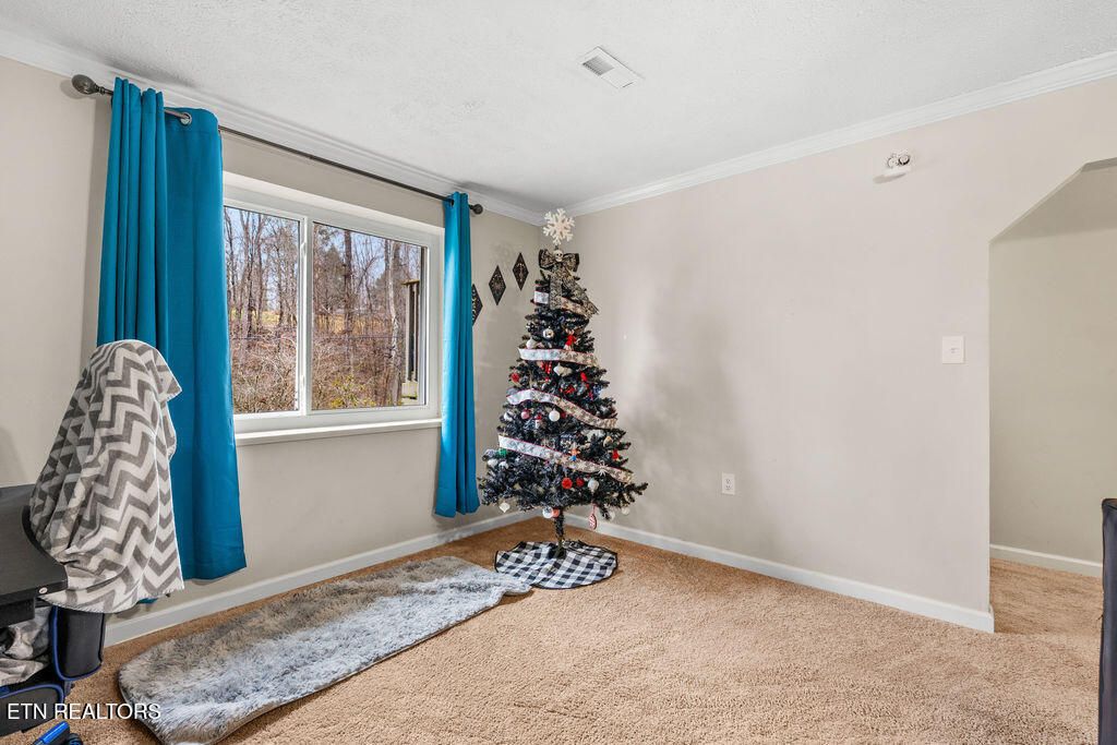 Photo of 250 McDeerman Road Rd, Jacksboro, TN 37757 (MLS # 1323449)