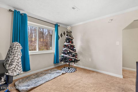 Tiny photo for 250 McDeerman Road Rd, Jacksboro, TN 37757 (MLS # 1323449)