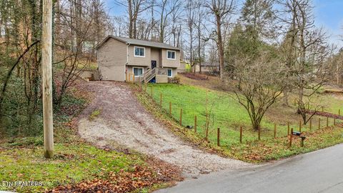 Tiny photo for 250 McDeerman Road Rd, Jacksboro, TN 37757 (MLS # 1323449)