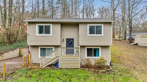 Photo of 250 McDeerman Road Rd, Jacksboro, TN 37757 (MLS # 1323449)