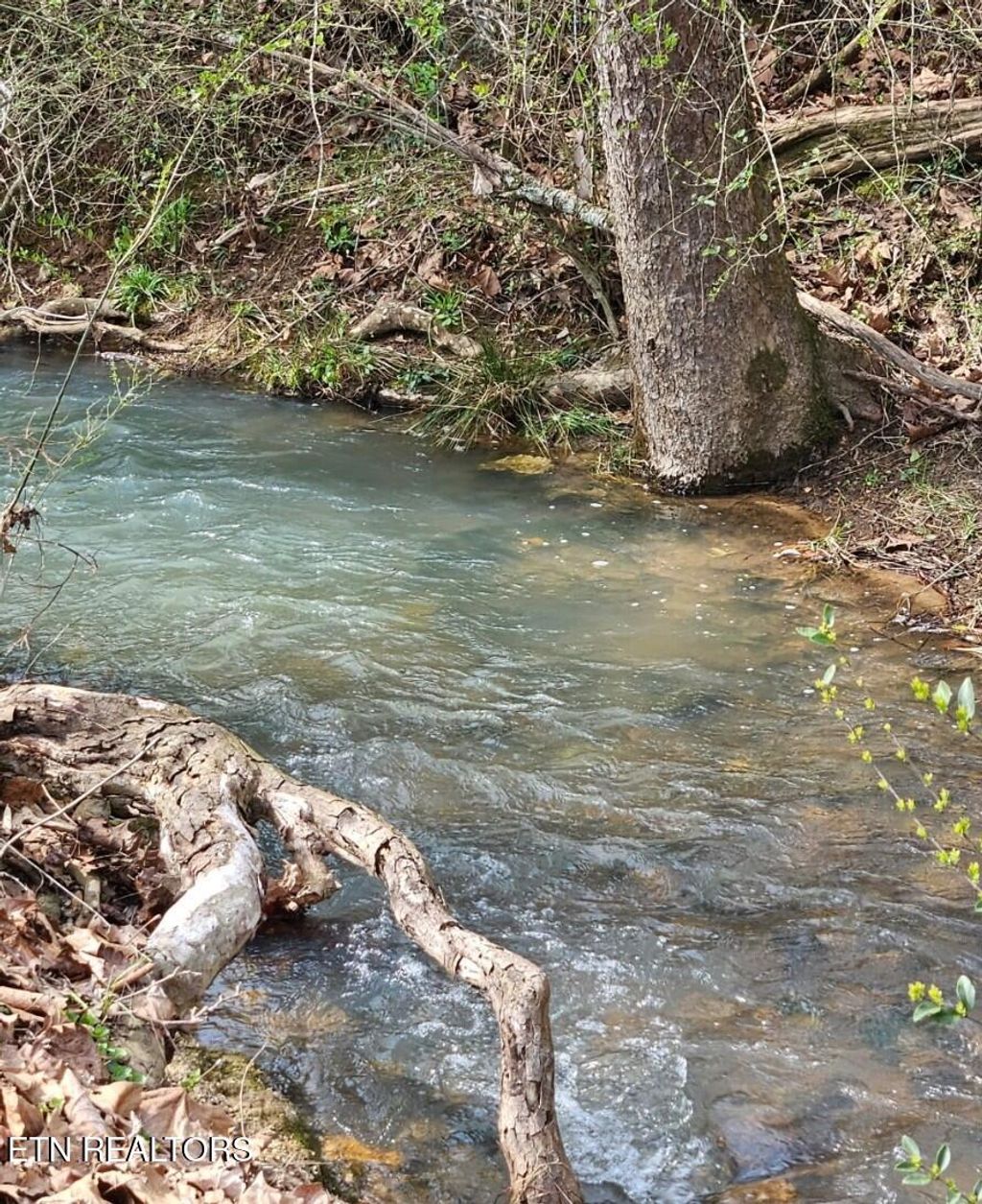 Photo of 118 Wolf Creek Rd, Kingston, TN 37763 (MLS # 1331801)