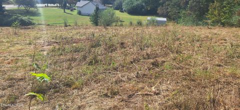 Tiny photo for 0 Highway 68, Sweetwater, TN 37874 (MLS # 1317829)