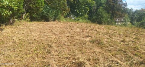 Tiny photo for 0 Highway 68, Sweetwater, TN 37874 (MLS # 1317829)