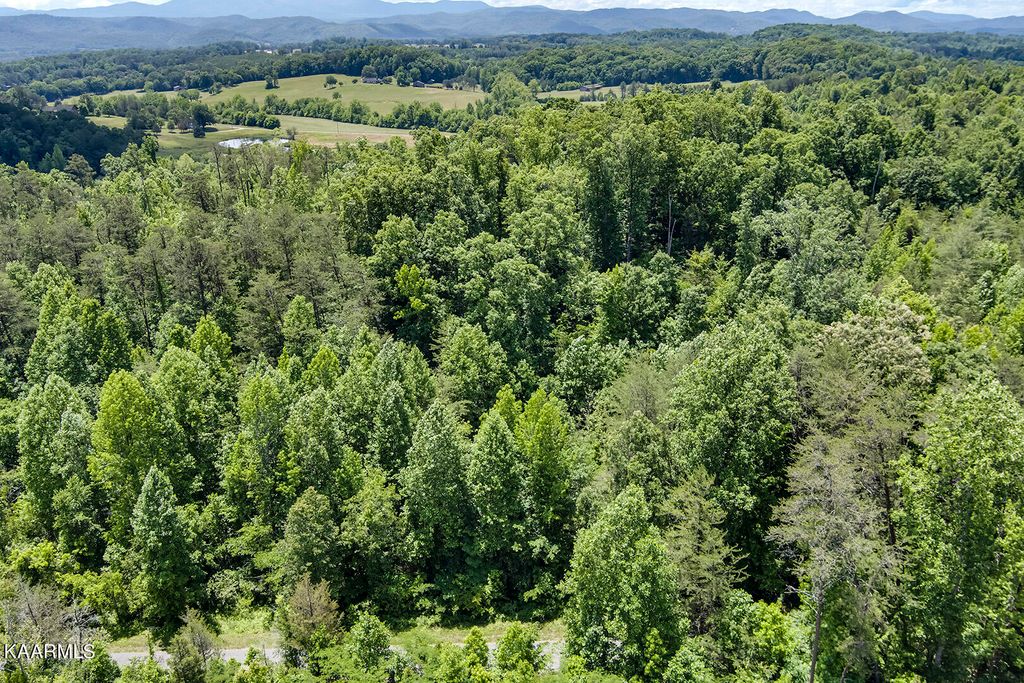 Photo of Payne Rd, Tellico Plains, TN 37385 (MLS # 1229260)