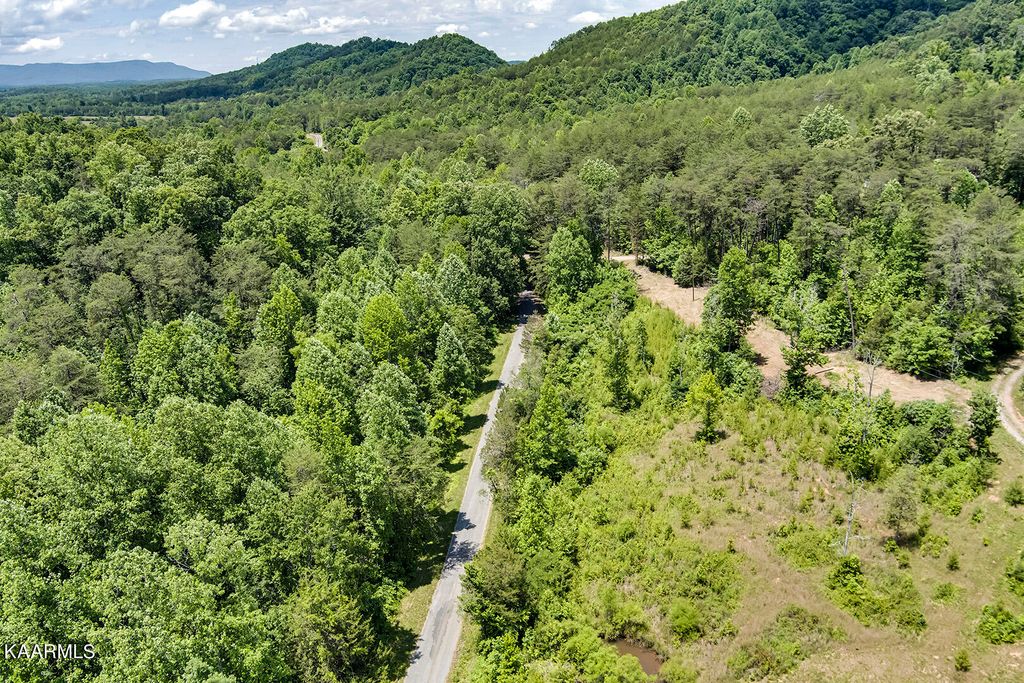 Photo of Payne Rd, Tellico Plains, TN 37385 (MLS # 1229260)