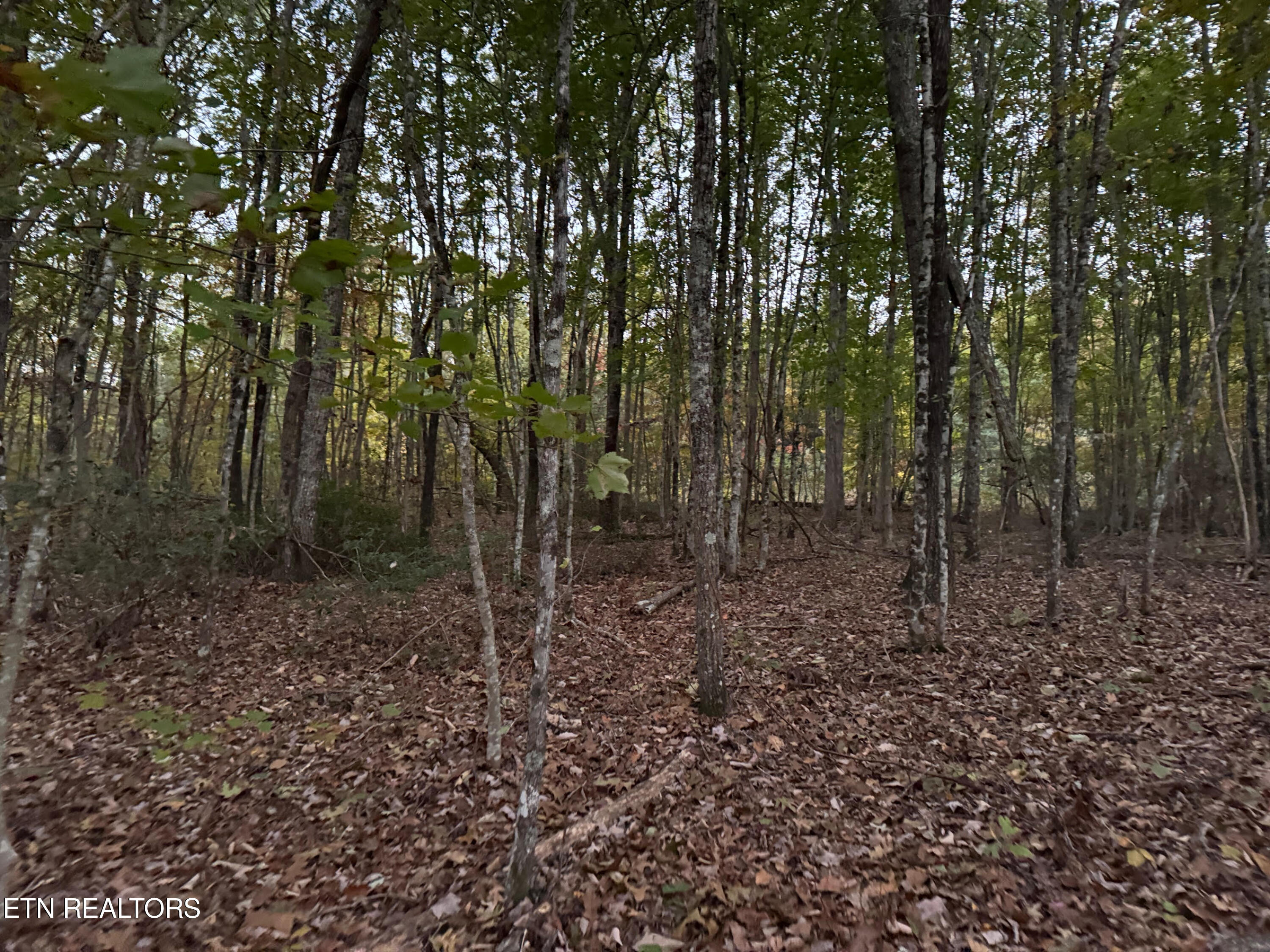 0 Panther Falls Rd