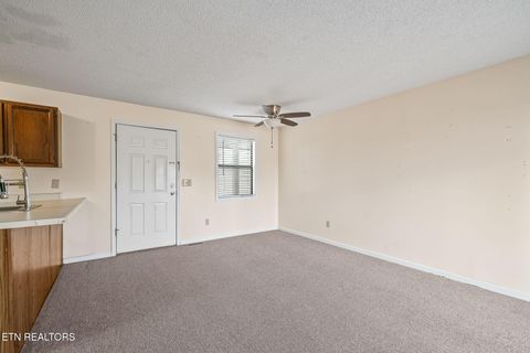 Tiny photo for 281 Moytoy Rd Rd #105, Crab Orchard, TN 37723 (MLS # 1323109)