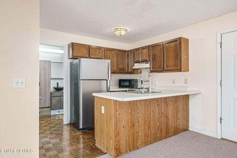 Tiny photo for 281 Moytoy Rd Rd #105, Crab Orchard, TN 37723 (MLS # 1323109)