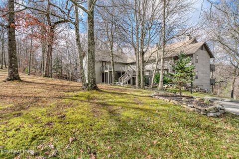 Tiny photo for 281 Moytoy Rd Rd #105, Crab Orchard, TN 37723 (MLS # 1323109)