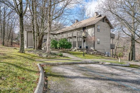 Tiny photo for 281 Moytoy Rd Rd #105, Crab Orchard, TN 37723 (MLS # 1323109)