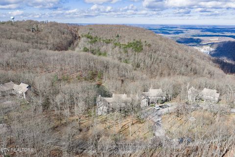 Tiny photo for 281 Moytoy Rd Rd #105, Crab Orchard, TN 37723 (MLS # 1323109)