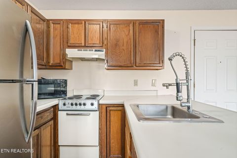 Tiny photo for 281 Moytoy Rd Rd #105, Crab Orchard, TN 37723 (MLS # 1323109)