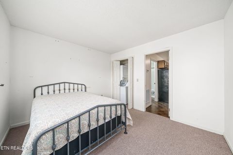 Tiny photo for 281 Moytoy Rd Rd #105, Crab Orchard, TN 37723 (MLS # 1323109)