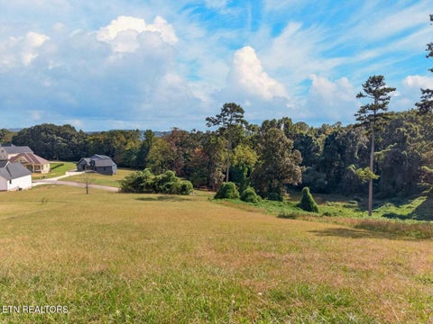 Tiny photo for Cow Poke, Rutledge, TN 37861 (MLS # 1359448)