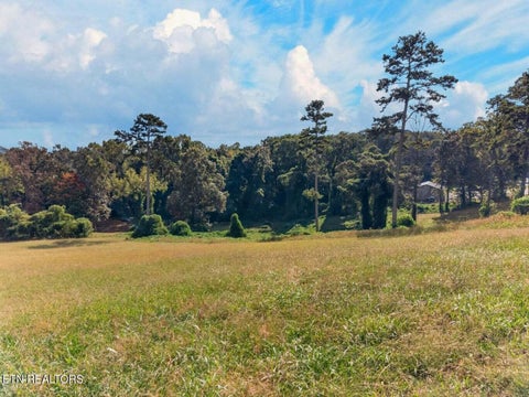 Tiny photo for Cow Poke, Rutledge, TN 37861 (MLS # 1359448)