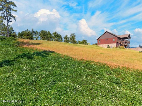Tiny photo for Cow Poke, Rutledge, TN 37861 (MLS # 1359448)