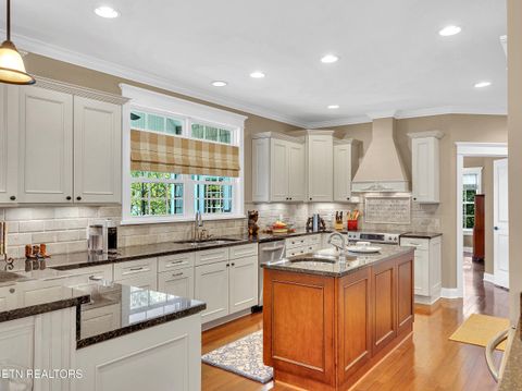 Tiny photo for 620 Bluff View Rd, New Tazewell, TN 37825 (MLS # 1328821)