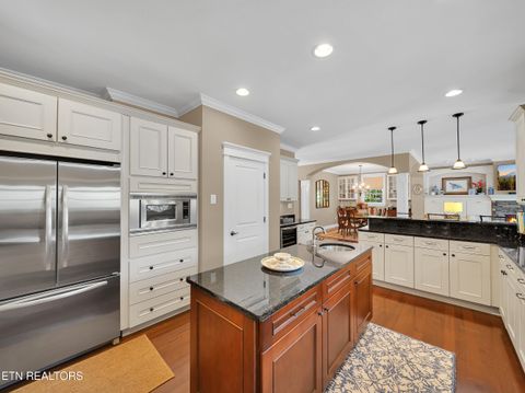 Tiny photo for 620 Bluff View Rd, New Tazewell, TN 37825 (MLS # 1328821)