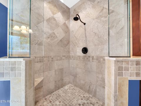 Tiny photo for 620 Bluff View Rd, New Tazewell, TN 37825 (MLS # 1328821)