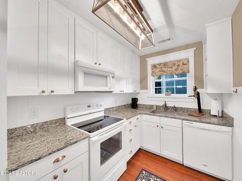 Tiny photo for 620 Bluff View Rd, New Tazewell, TN 37825 (MLS # 1328821)