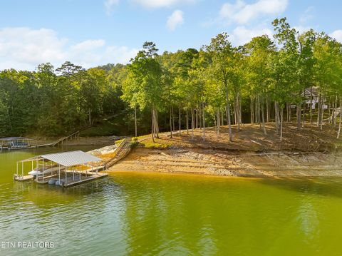 Tiny photo for 620 Bluff View Rd, New Tazewell, TN 37825 (MLS # 1328821)