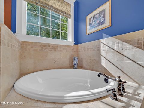 Tiny photo for 620 Bluff View Rd, New Tazewell, TN 37825 (MLS # 1328821)