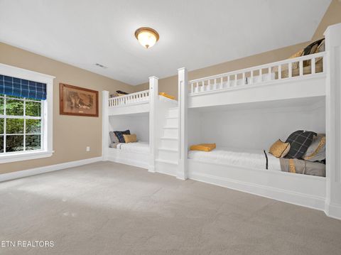 Tiny photo for 620 Bluff View Rd, New Tazewell, TN 37825 (MLS # 1328821)