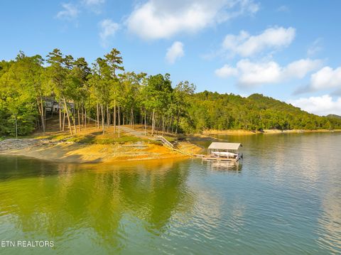 Tiny photo for 620 Bluff View Rd, New Tazewell, TN 37825 (MLS # 1328821)