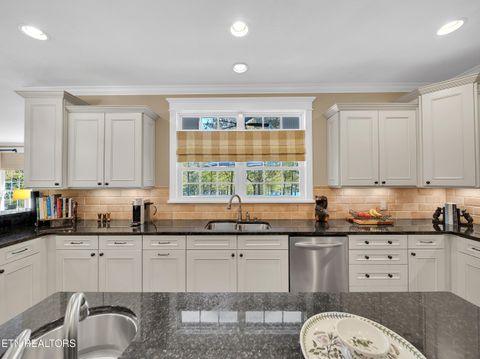 Tiny photo for 620 Bluff View Rd, New Tazewell, TN 37825 (MLS # 1328821)