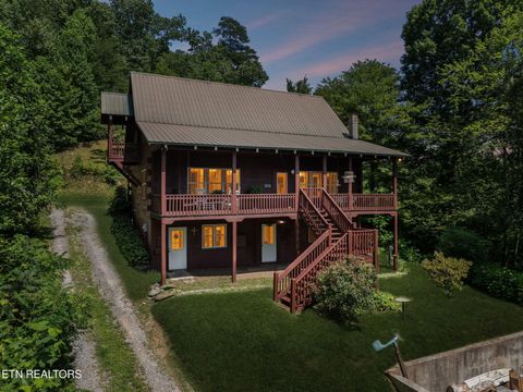 186 Caney Creek Rd Reliance TN 37369