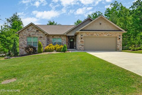 Photo of 142 Forest View Drive, Crossville, TN 38558 (MLS # 1341291)