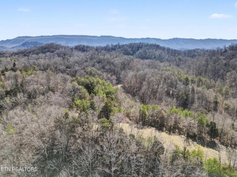 Tiny photo for Stanton Rd, Seymour, TN 37865 (MLS # 1329427)