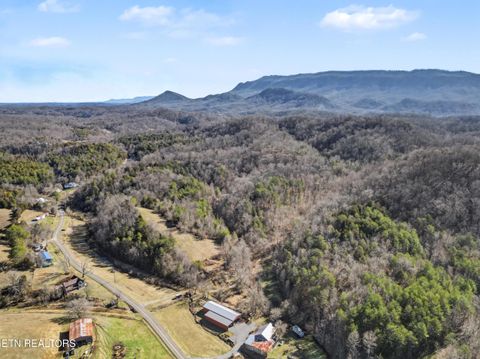 Tiny photo for Stanton Rd, Seymour, TN 37865 (MLS # 1329427)