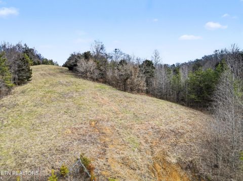 Tiny photo for Stanton Rd, Seymour, TN 37865 (MLS # 1329427)