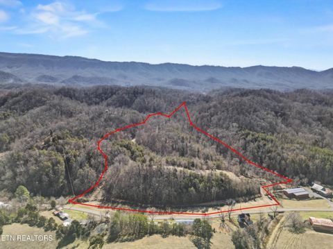 Tiny photo for Stanton Rd, Seymour, TN 37865 (MLS # 1329427)