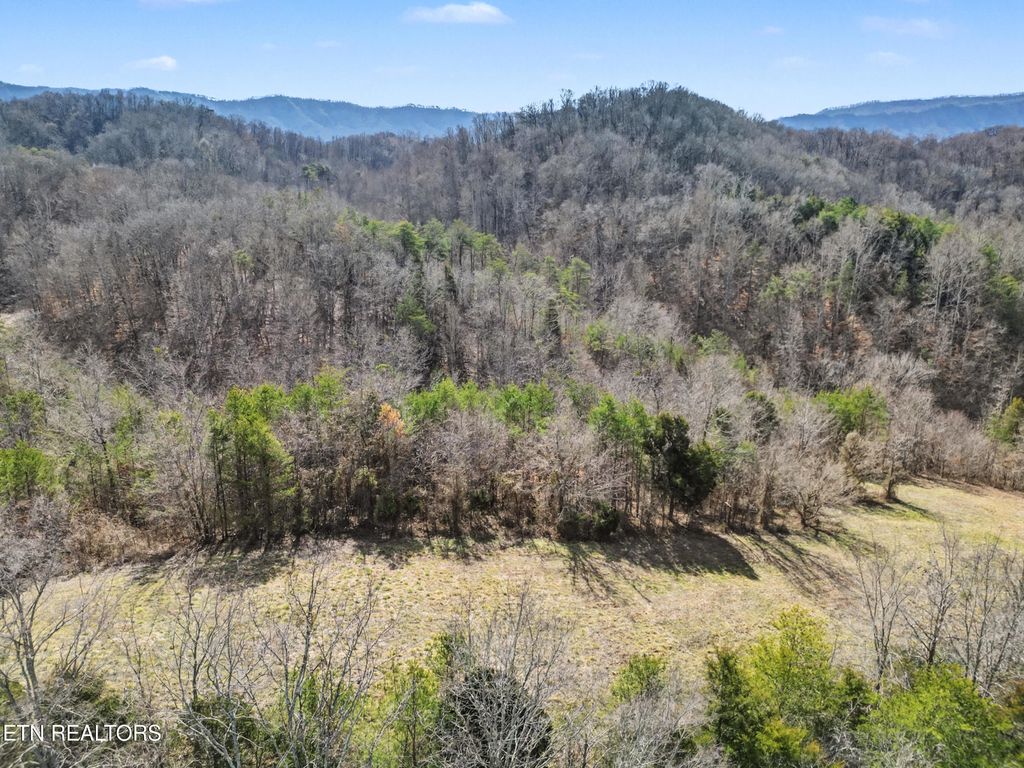 Photo of Stanton Rd, Seymour, TN 37865 (MLS # 1329427)