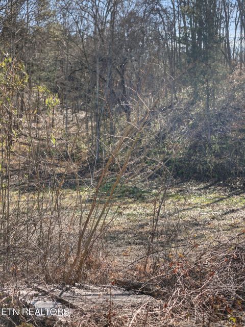 Tiny photo for Stanton Rd, Seymour, TN 37865 (MLS # 1329427)