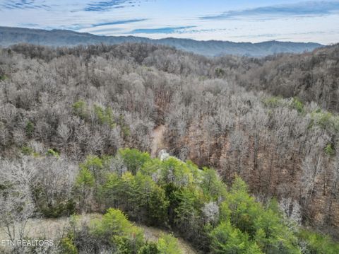 Tiny photo for Stanton Rd, Seymour, TN 37865 (MLS # 1329427)