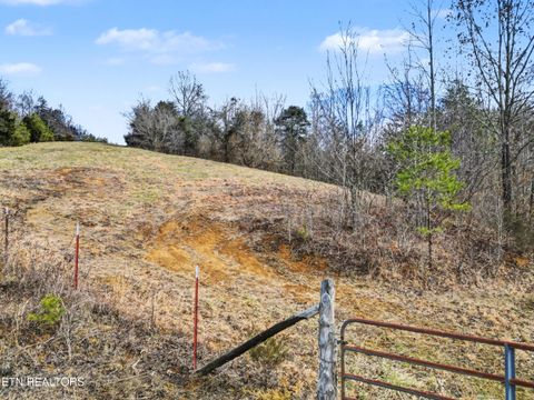 Tiny photo for Stanton Rd, Seymour, TN 37865 (MLS # 1329427)