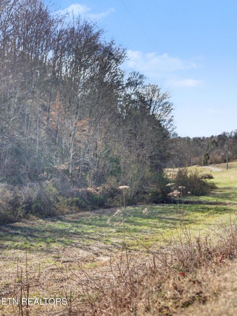 Tiny photo for Stanton Rd, Seymour, TN 37865 (MLS # 1329427)